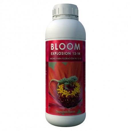 Bloom Explosion 13-14
