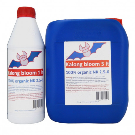 Kalong Bloom