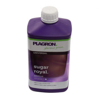Sugar Royal