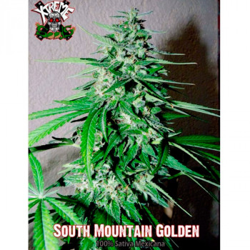 South Mountain Golden