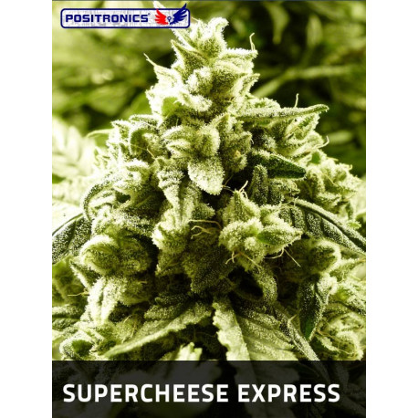 supercheese express