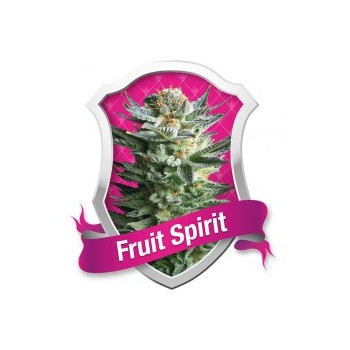 Fruit spirit