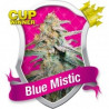 Blue Mistic 