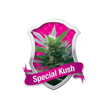 Special Kush 1