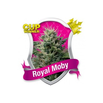 Royal Moby