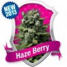 Haze Berry