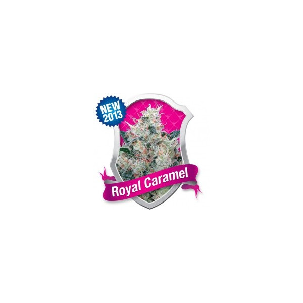 Royal Caramel