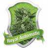 Royal Automatic