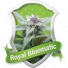 Royal Bluematic