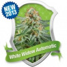 White Widow Automatic