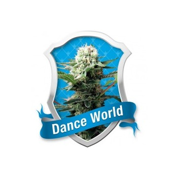 Dance World