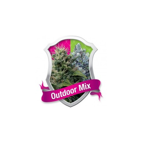 Outdoor Mix