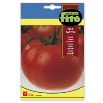 Tomate Tres Cantos