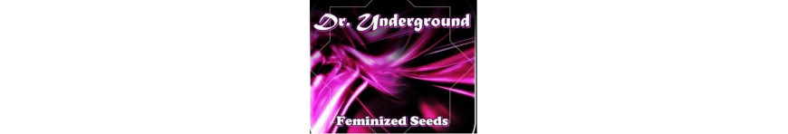Dr. Underground - Planta-T Alicante grow online